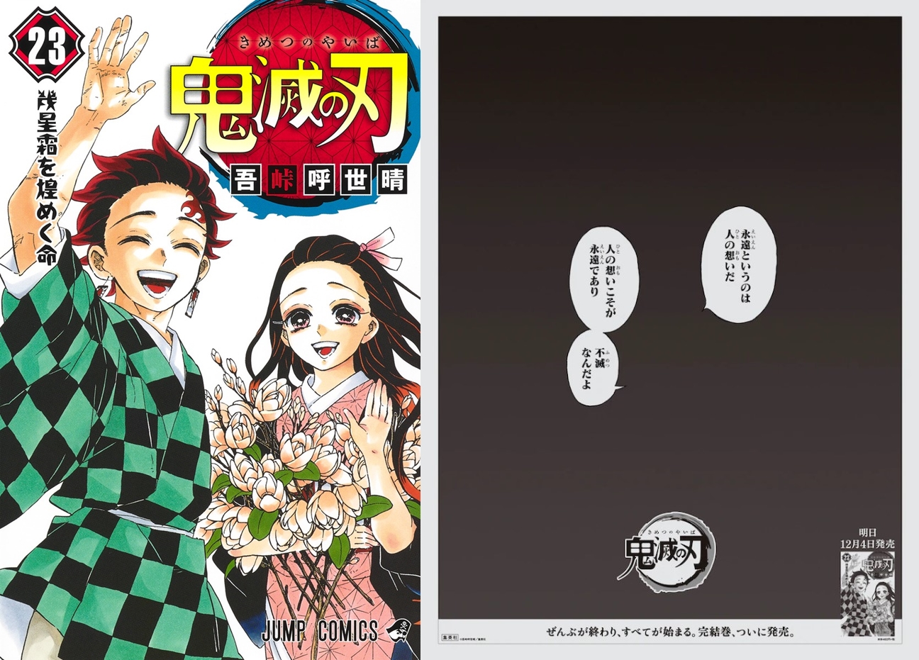Demon Slayer Final Volume to Be Advertised in National Newspapers