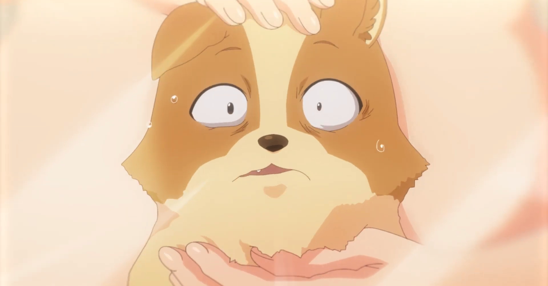 My Life as Inukai-san's Dog TV Anime Gets New Trailer, Visual, January 2023  Premiere Date - Anime Corner