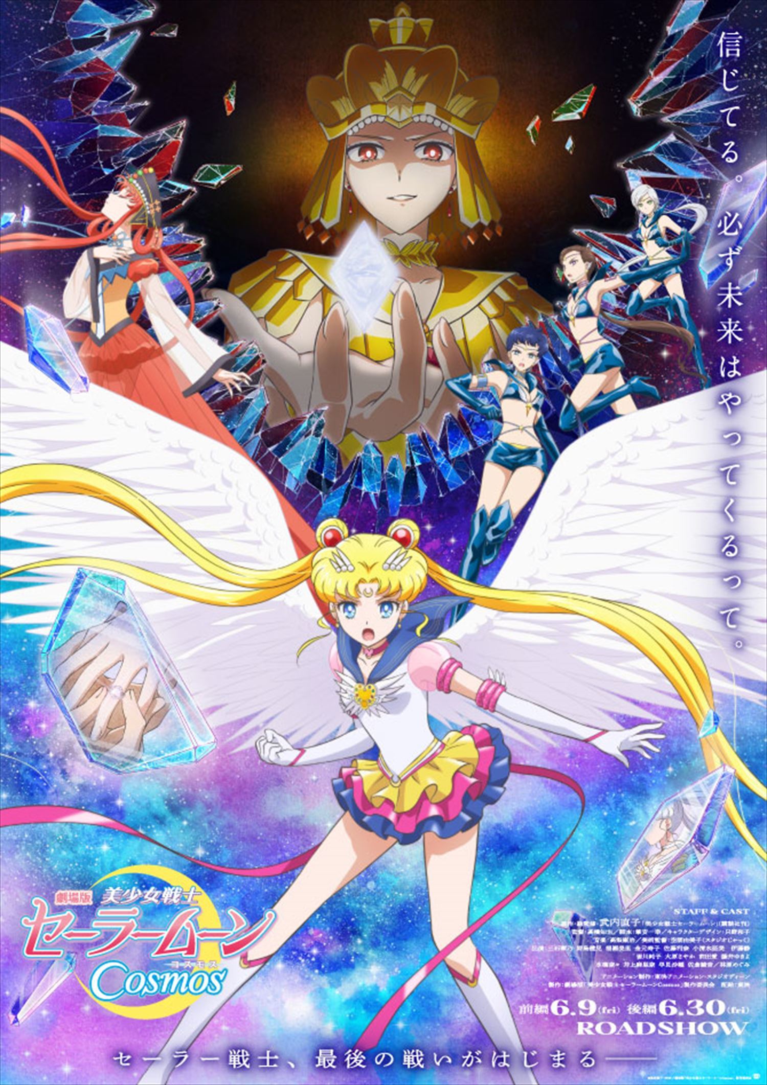 Pretty Guardian Sailor Moon Cosmos