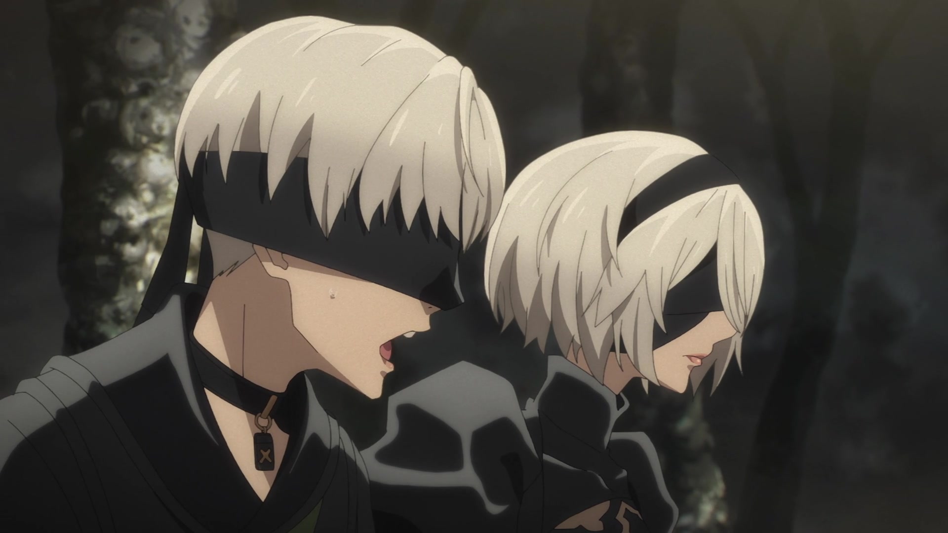 Animemes Nation  NEWS NieR Automata anime adaptation has been officially  announced Studio A1Pictures Watch the teaser here  httpstwittercomNieRAANIMEstatus1496442772244819979thoIg3WrtHcHI4PDPEoY3aQs19   Facebook